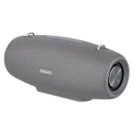 Zealot S67 Portable 60W Bluetooth Speaker Grey